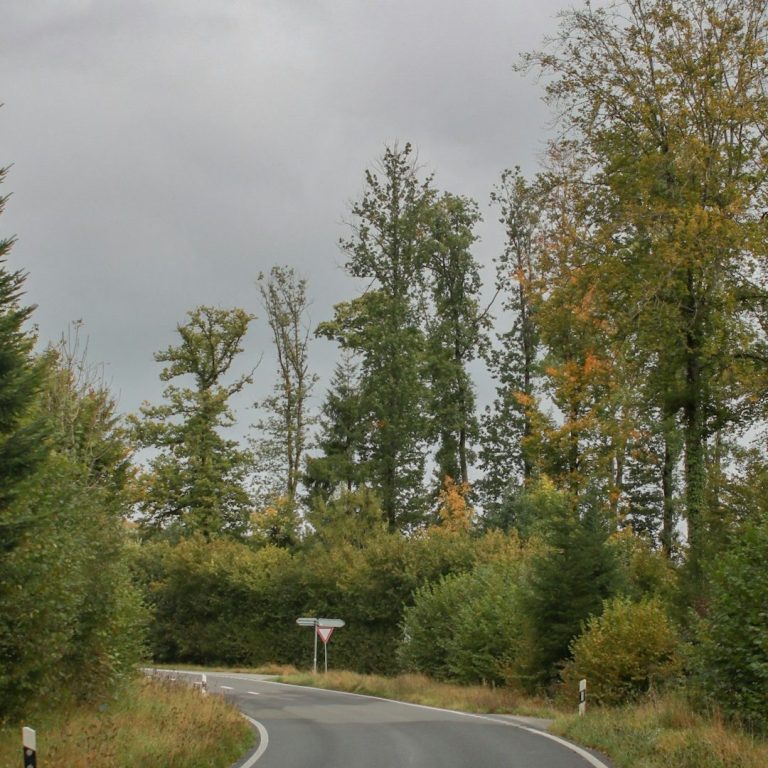 Straße im Schwarzwald